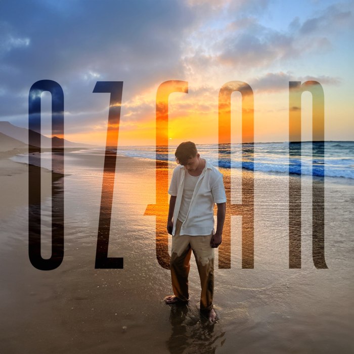 Snails in the sun: Strategies of terrestrial gastropods to cope with ...