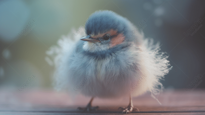 Very Small Images, HD Pictures For Free Vectors Download - Lovepik.com Small business grants 2025